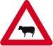 Panneau A29 Traversée de bétail
